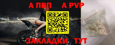 прущие крисы Кингисепп
