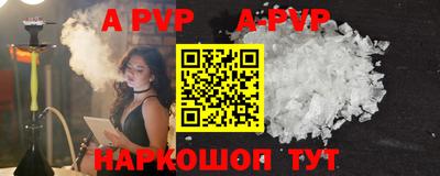 прущие крисы Кингисепп