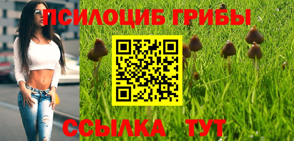 Галлюциногенные грибы мицелий  Вход с VPN  Коммунар 